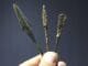 Poison Arrowheads Thought to Be 60 Thousand Years Old Found - Digital Media Engineering