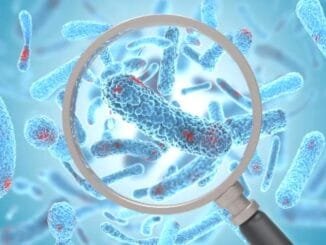 5,000-Year-Old Bacteria Found in Ice Are Antibiotic-Resistant - Digital Media Engineering