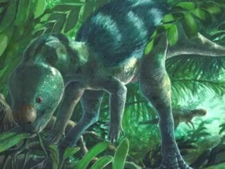 Tiny Dinosaur Discovery - Digital Media Engineering
