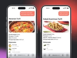 Yandex AI Launches in Turkey - Digital Media Engineering