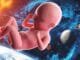 Is Reproducing in Space the Ultimate Taboo for Humanity's Mars and Moon Colonies? - Digital Media Engineering