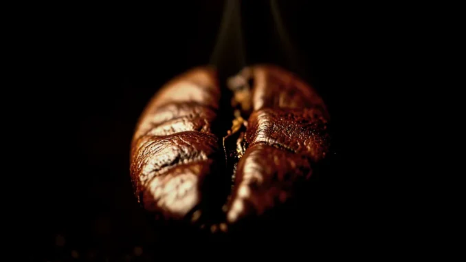 New Research Suggests Caffeine May Slow Cellular Aging - Digital Media Engineering