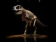 $47.3 Million Dinosaur Fossil Becomes the Second-Most Expensive Ever Sold - Digital Media Engineering